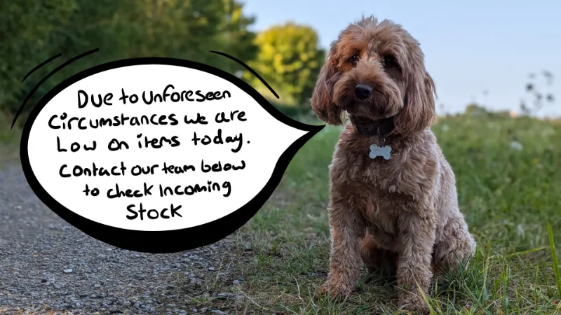 Muffin With a Speech Bubble about how we currently have no items.